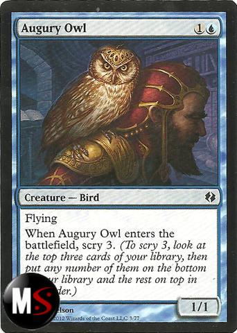 AUGURY OWL