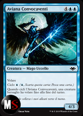 AVIANA CONVOCAVENTI