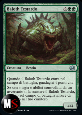 BALOTH TESTARDO