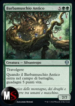 BARBAMUSCHIO ANTICO