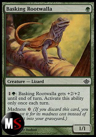 BASKING ROOTWALLA