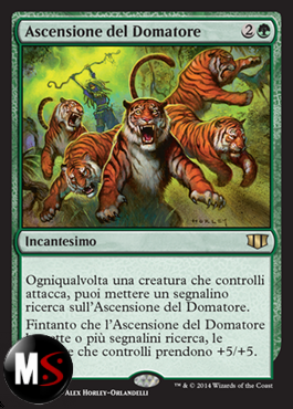 ASCENSIONE DEL DOMATORE