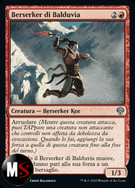 BERSERKER DI BALDUVIA