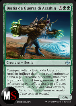 BESTIA DA GUERRA DI ARASHIN