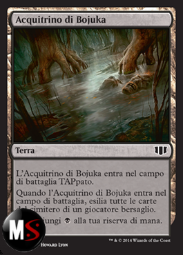 ACQUITRINO DI BOJUKA