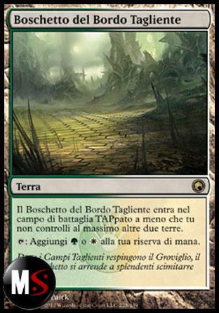 BOSCHETTO DEL BORDO TAGLIENTE - FOIL