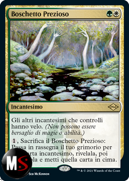 BOSCHETTO PREZIOSO