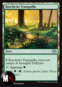 BOSCHETTO TRANQUILLO