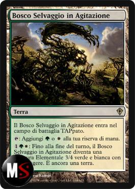 BOSCO SELVAGGIO IN AGITAZIONE