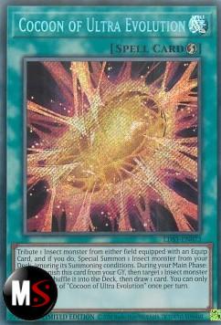 BOZZOLO DELL'ULTRA EVOLUZIONE BOZZOLO DELL'ULTRA EVOLUZIONE
