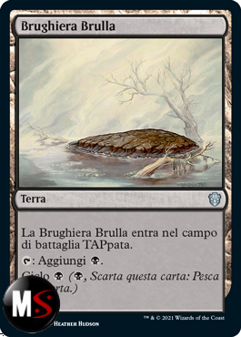 BRUGHIERA BRULLA