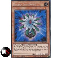 BULBO LUMINOSO