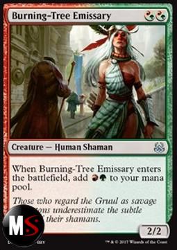 EMISSARIA DI BRUCIA-ALBERO