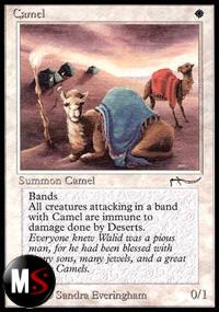 CAMEL