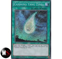 CAMMINO YANG ZING