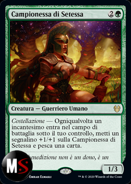 CAMPIONESSA DI SETESSA