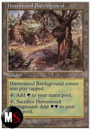 CAMPO DI BATTAGLIA DI HAVENWOOD