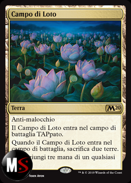 CAMPO DI LOTO