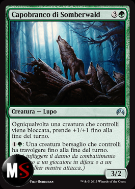 CAPOBRANCO DI SOMBERWALD