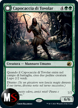 CAPOCACCIA DI TOVOLAR  /  /  CAPOBRANCO DI TOVOLAR