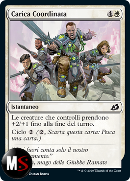 CARICA COORDINATA - FOIL