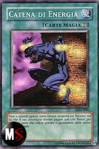 CATENA DI ENERGIA 