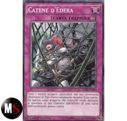 CATENE D'EDERA