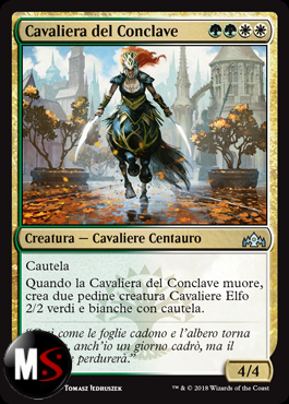 CAVALIERA DEL CONCLAVE