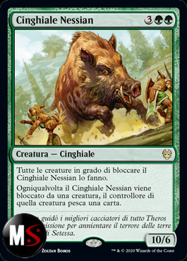 CINGHIALE NESSIAN