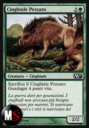 CINGHIALE PEZZATO