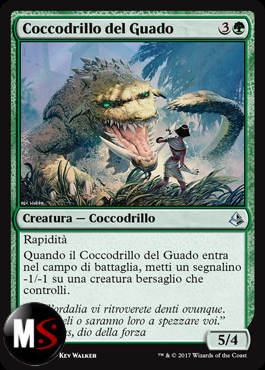 COCCODRILLO DEL GUADO