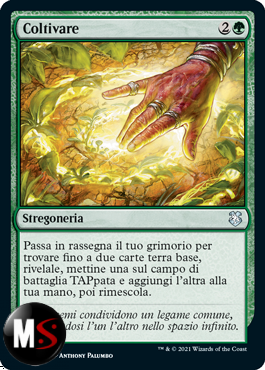 COLTIVARE COLTIVARE
