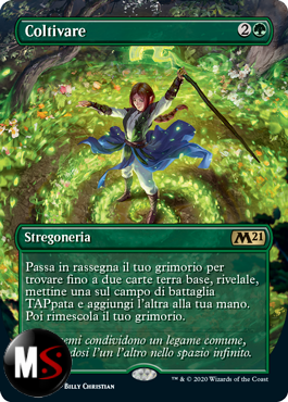 COLTIVARE FULL ART