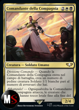 COMANDANTE DELLA COMPAGNIA