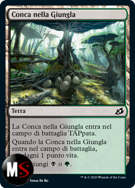 CONCA NELLA GIUNGLA