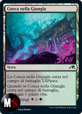 CONCA NELLA GIUNGLA