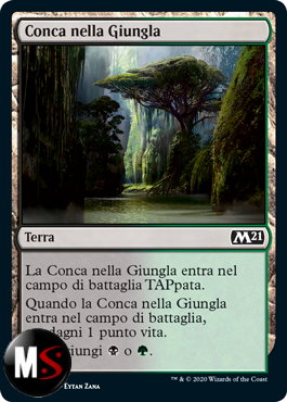 CONCA NELLA GIUNGLA