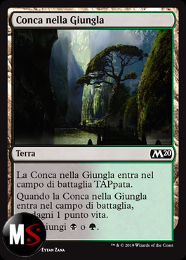 CONCA NELLA GIUNGLA