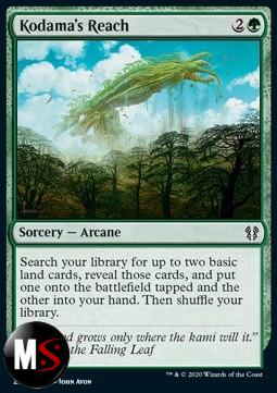 CONFINI DEL KODAMA