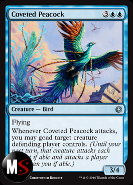 COVETED PEACOCK