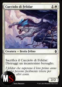 CUCCIOLO DI FELIDAR