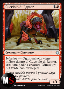 CUCCIOLO DI RAPTOR