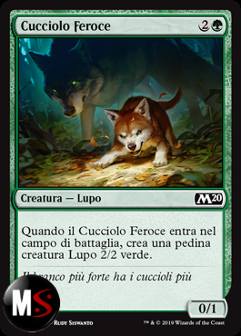 CUCCIOLO FEROCE