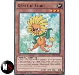 DENTE DI LEONE