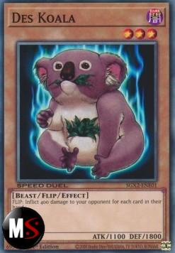 DES KOALA