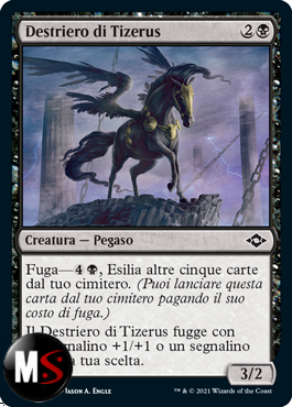 DESTRIERO DI TIZERUS