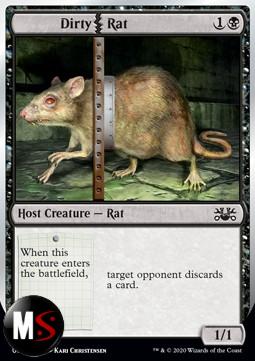 DIRTY RAT