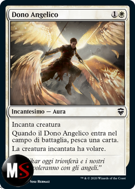 DONO ANGELICO