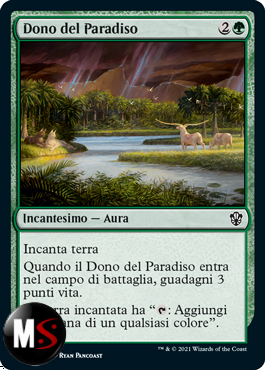 DONO DEL PARADISO