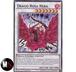 DRAGO ROSA NERA